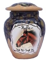 u6: Horse pastel
